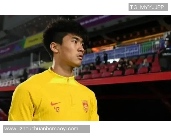 成都羽毛球队逆袭之路揭秘:从困境到辉煌的反击之战