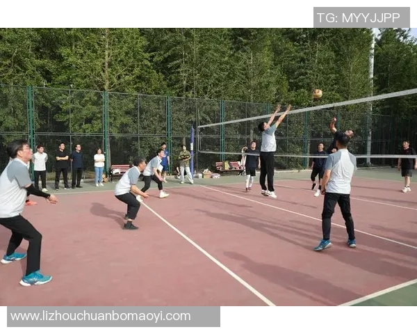 成都排球队在全国排球耐力排行榜中荣获第六名展现出卓越实力与团队精神